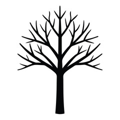 Obraz premium Silhouette of a Leafless Tree with Bare Branches Isolated on a White Background