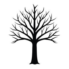 Fototapeta premium Silhouette of a Tree with Bare Branches Isolated on a Clean White Background