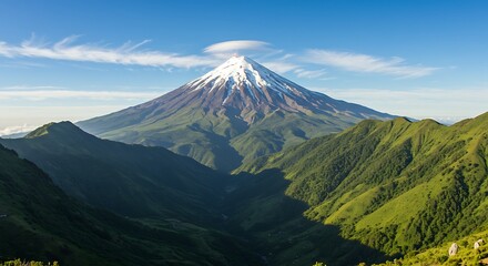Fototapeta premium mount fuji in japan