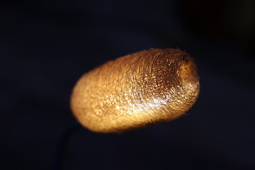 Natural lamp shade made from loofah, lamp shades, background, textures, shades, night light, night...