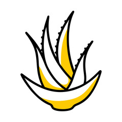 aloe vector icon