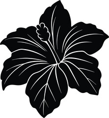 You might also like these vectors

