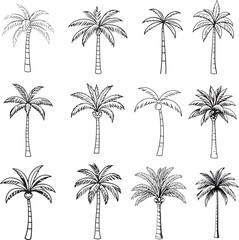 palm tree line art set black color outline clip art doodle vector design	
