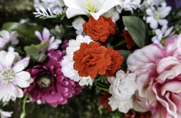 Colorful flowers in nature