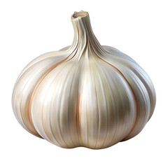 Garlic Bulb Isolated on Transparent Background