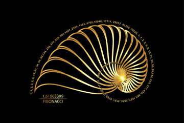 Fibonacci Sequence Golden ratio. Geometric shapes spiral. Snail spiral. Sea shell of gold circles. Sacred geometry logo template. Vector isolated on black background
