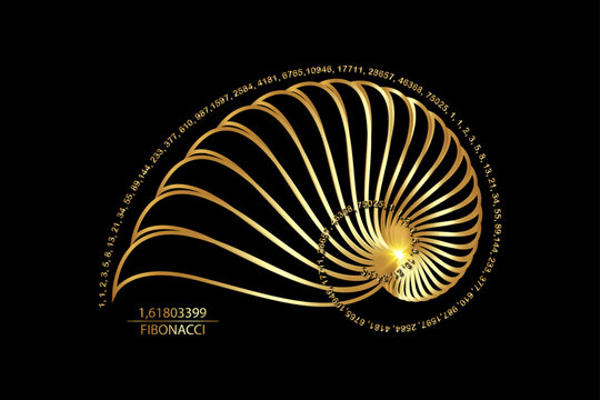 Fibonacci Sequence Golden ratio. Geometric shapes spiral. Snail spiral. Sea shell of gold circles. Sacred geometry logo template. Vector isolated on black background