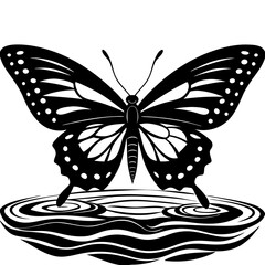 butterfly vector illustration