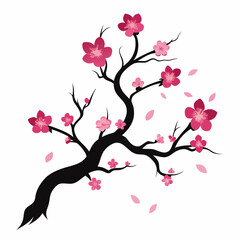 cherry blossom tree