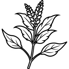 silhouette of a plant