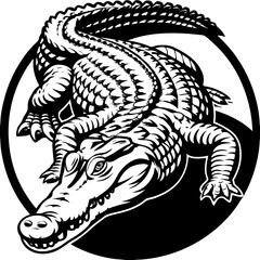 black and white dragon