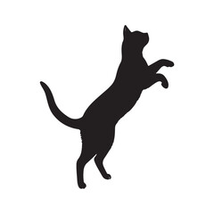 Energetic Black Cat Standing Tall with Paws Raised Up