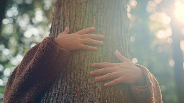 Close-up of woman&rsquo;s hand gently hugging a tree trunk in forest sunlight &ndash; human connection with nature, love for environment, sustainability, and eco-conscious lifestyle in natural woodland setting