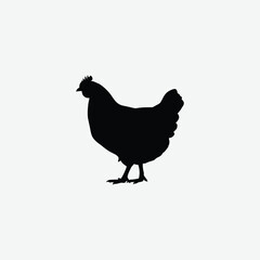 Download a high-resolution chicken vector graphic perfect for farm-themed designs, t-shirt prints, educational materials, and digital art.