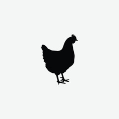 Download a high-resolution chicken vector graphic perfect for farm-themed designs, t-shirt prints, educational materials, and digital art.