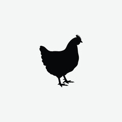 Download a high-resolution chicken vector graphic perfect for farm-themed designs, t-shirt prints, educational materials, and digital art.