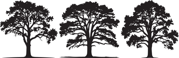 Set Trees. Hand Drawn Vector Illustration – Six Black Tree Silhouettes in Grid Layout, Minimalist Elegant Tree Shapes with Varied Branches, Clean Line Art on Gray Background

