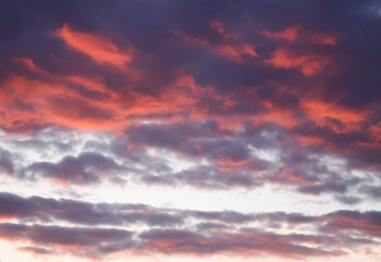 A sunset sky with soft clouds.