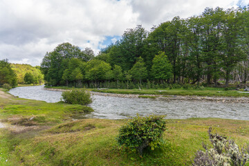 Rio Pipo river in Tierra del Fuego National Park, in Argentina, in the province of Tierra del Fuego, Antarctica and the South Atlantic Islands.