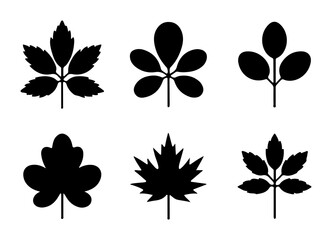 Fototapeta premium Silhouette illustration showing six different types of leaves in a botanical arrangement design element