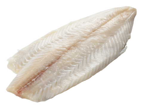 Close-up of a Fresh Raw Fish Fillet Isolated on transparent background, Isolated Png file, Cut-out, Isolate Png, No Background, Isolated object