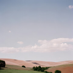 landscape with a tree