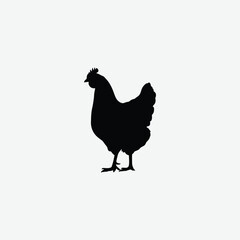 Download a high-resolution chicken vector graphic perfect for farm-themed designs, t-shirt prints, educational materials, and digital art.