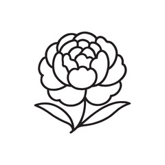 Elegant Line Art Peony Flower Illustration Simple Botanical Design