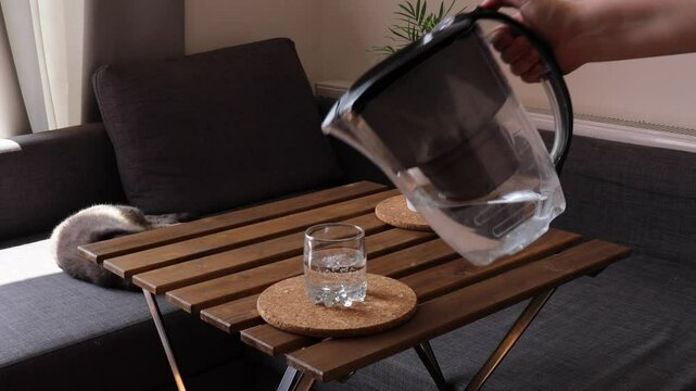 clean filtered water being poured into a glass on a sunlit table in a modern living space, with a cat napping nearby, representing daily hydration and cozy home environment