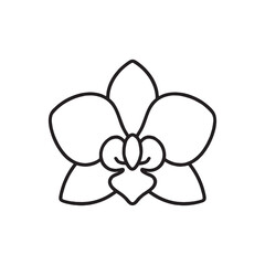 Elegant Line Art Orchid Flower Illustration Simple Botanical Design