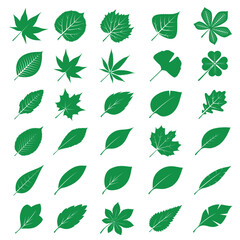 Collection of green Leafs. Outline Illustration.