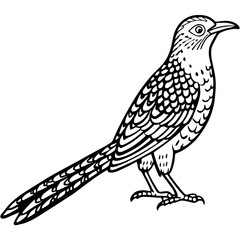 Eurasian Wryneck Vector on White