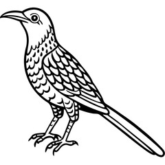 Eurasian Wryneck Vector on White