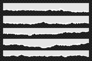 Torn paper pieces. Blank paper strips with ripped edges. Horizontal pieces of torn and ripped paper. Vector