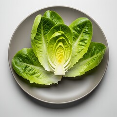 Romaine Lettuce on Plate