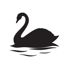 Elegant black swan silhouettes swimming in water