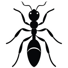 fire ant white background