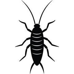 silverfish white background