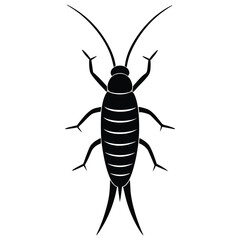 silverfish white background