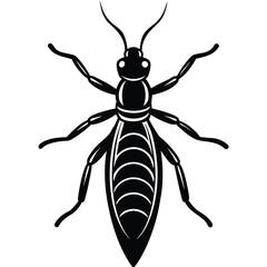termite white background