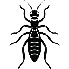termite white background