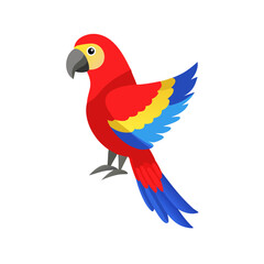 Parrot: The Colorful Birds of the Tropics