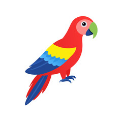 Parrot: The Colorful Birds of the Tropics