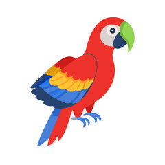 Parrot: The Colorful Birds of the Tropics
