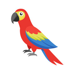 Parrot: The Colorful Birds of the Tropics