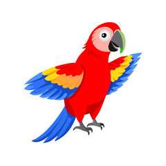Parrot: The Colorful Birds of the Tropics