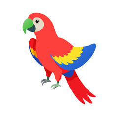 Parrot: The Colorful Birds of the Tropics