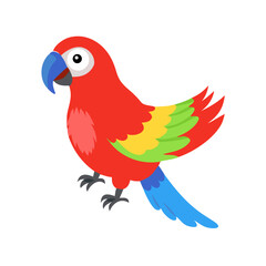 Parrot: The Colorful Birds of the Tropics