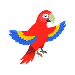 Parrot: The Colorful Birds of the Tropics