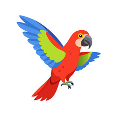 Parrot: The Colorful Birds of the Tropics